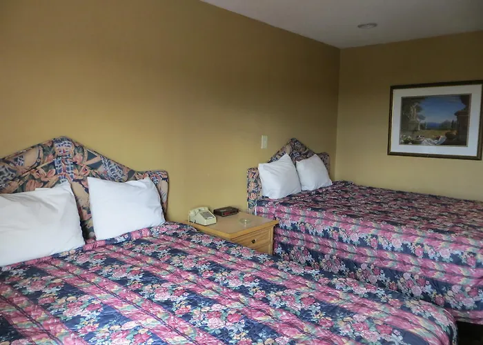 Motel Econo - East Saint Louis
